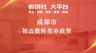 成都市智改數(shù)轉(zhuǎn)相關(guān)配套獎補(bǔ)政策