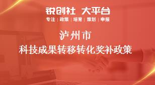 瀘州市科技成果轉(zhuǎn)移轉(zhuǎn)化相關(guān)配套獎補政策