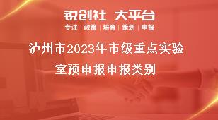 瀘州市2023年市級重點實驗室預申報申報類別獎補政策