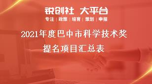 2021年度巴中市科學(xué)技術(shù)獎(jiǎng)提名項(xiàng)目匯總表獎(jiǎng)補(bǔ)政策