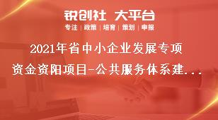2021年省中小企業(yè)發(fā)展專項(xiàng)資金資陽(yáng)項(xiàng)目-公共服務(wù)體系建設(shè)補(bǔ)助標(biāo)準(zhǔn)獎(jiǎng)補(bǔ)政策