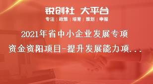 2021年省中小企業(yè)發(fā)展專項資金資陽項目-提升發(fā)展能力項目資料要求獎補政策