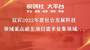 宜賓2022年度社會發(fā)展科技領(lǐng)域重點研發(fā)項目需求征集領(lǐng)域及范圍獎補政策